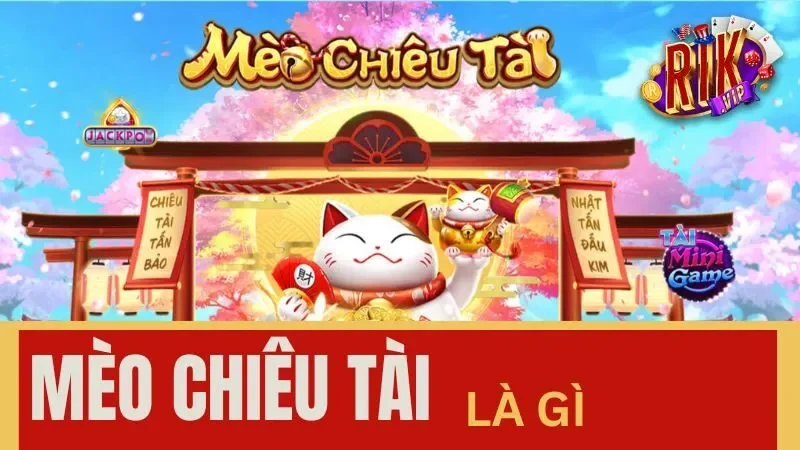 Đại chiến Mèo Chiêu Tài rước may mắn